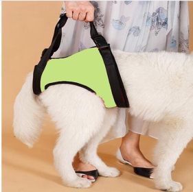 Old Disabled Golden Retriever Dog Pet Auxiliary Strap (Option: Green Back Leg-M)
