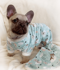 Ultra Soft Plush Minky Funny Sheep Pajamas (Color: light blue, size: small)
