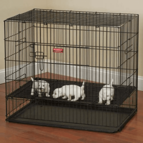 Sure Ex Pen (Color: Black, size: 18in)
