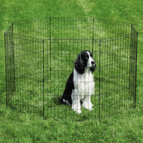 PS Puppy Playpen Rep Tray (Color: Black, size: medium)